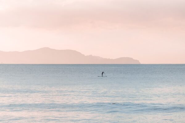 Photo Simple sneakers