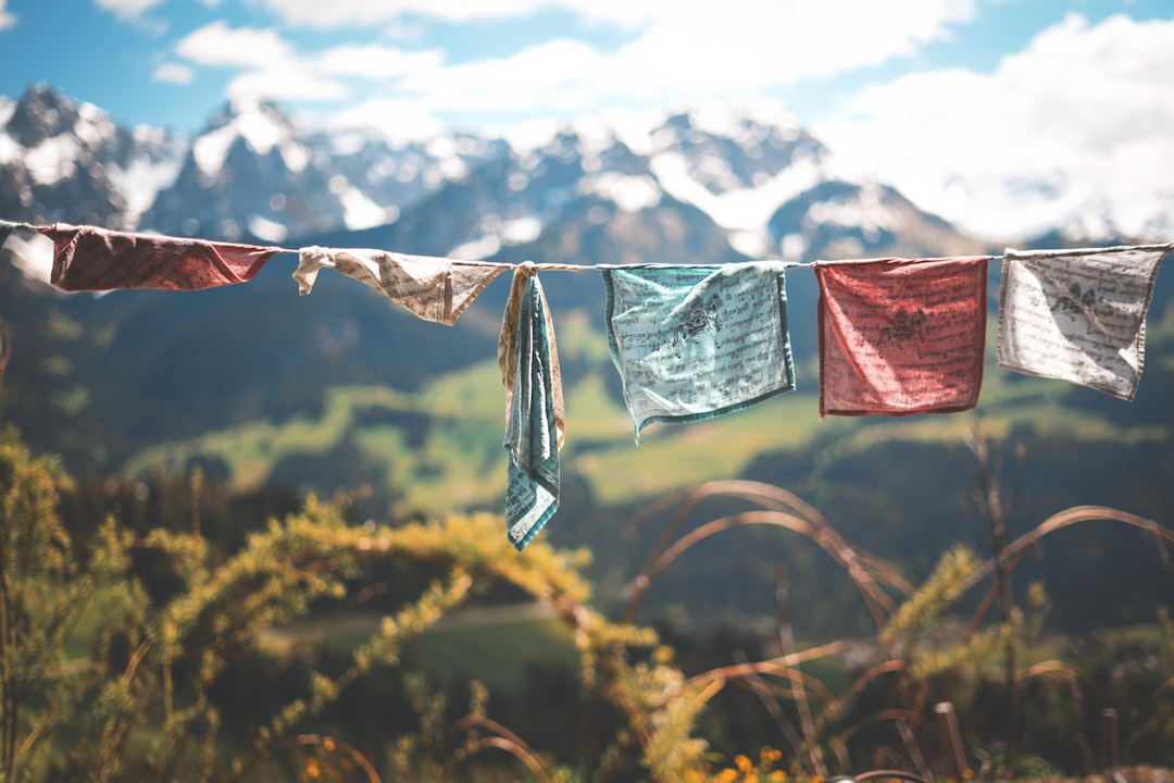 Photo Laundry symbols